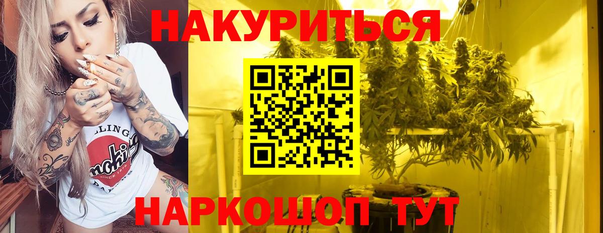 Бошки марихуана план  МАРИХУАНА семена  Вход с VPN  Орёл  Каннабис ГИДРОПОН 